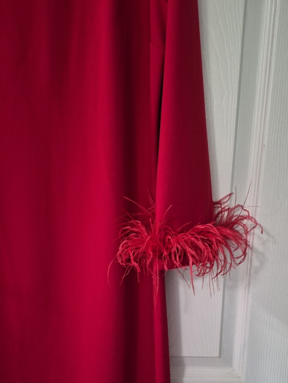 NWT Jude Connally Red Feather-Cuff Shift Dress- Large - Picture 3 of 8